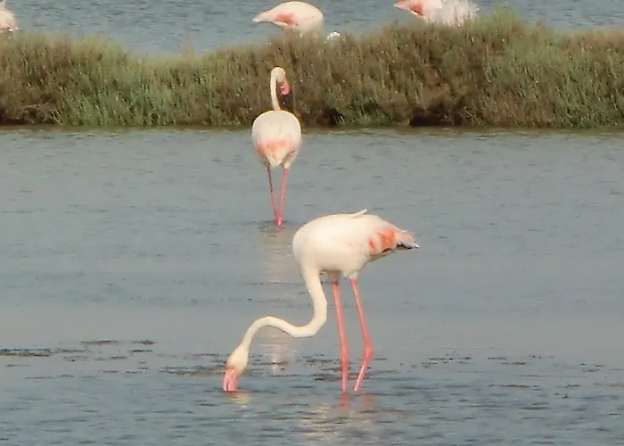 La Casa Gialla Carloforte (Isola di San Pietro)